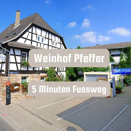 Zum Weinhof-schuppen Lägenhet Klingenmünster