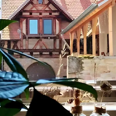 Lägenhet Zum Weinhof-schuppen Klingenmünster